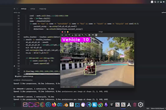 python scripting, automation, and web development