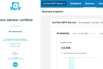 do clean up, catchup, bookkeeping in quickbooks, xero,  wave