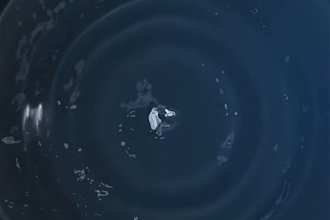 do 3d water simulation, 3d vfx animation liquid simulation