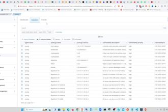 do wazuh server and security monitoring tools within 24 hrs