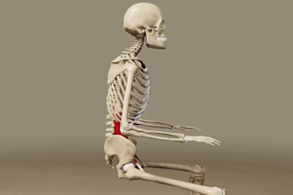 do 3d medical animation 3d medical video scientific animation surgery animation