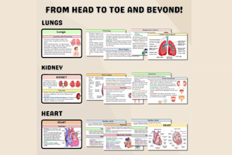 design educational card, flashcard, anatomy, physiology cards with box, rulebook