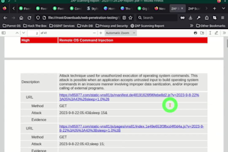 conduct penetration testing and vulnerability assessment
