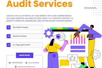 do SEO website audit with report and action plan