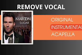 remove vocal from any song or create acapella