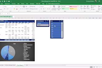 create professional excel dashboards and visualizations
