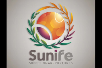 brand identity logo guidelines and professional brand