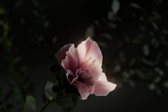 create stunning 3d plant and flower animation for product or explainer videos