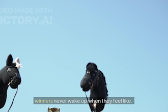 graphics ai ads and much more