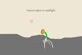 do simple illustration and animation