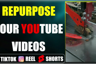 repurpose youtube videos into reels, shorts, and tik tok in 24 hours