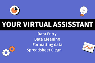 excel data cleaning, data entry, and formatting