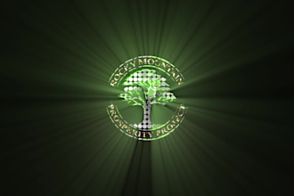 create a custom 3d animation logo for you