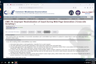 perform penetration test and vulnerability assessment