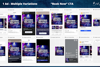 plan, strategize, design, setup, manage meta ads campaigns