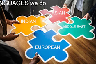 provide certified translation service