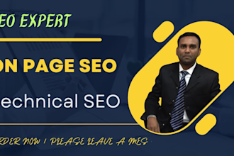 provide SEO service for on page and technical