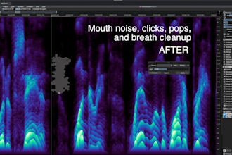 clean, edit, and refine your audio for music and film
