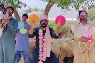 make african funny african happy birthday video or african happy birthday