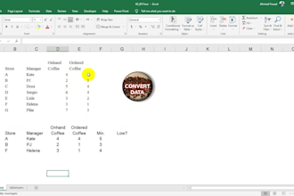 develop excel formulas and pivot tables
