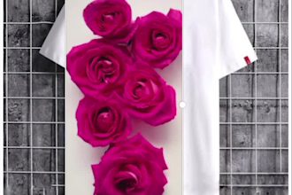 create trendy and funny t shirt designs for your brand