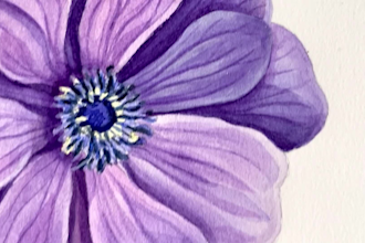paint a watercolor illustration of a flower, plant