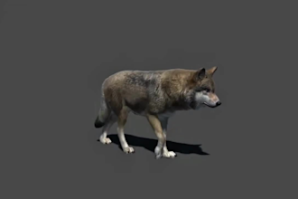 create 3d animal modeling 3d animal character 3d animation