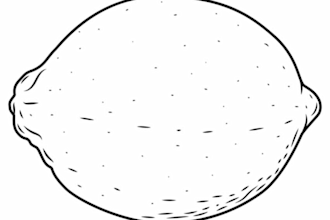 anything amazing illustration with line art style