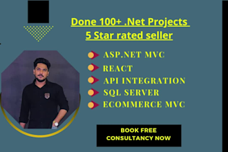 build a data powered website using asp dotnet core mvc and the dot net framework
