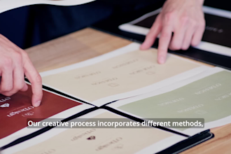 design a professional and stunning logo