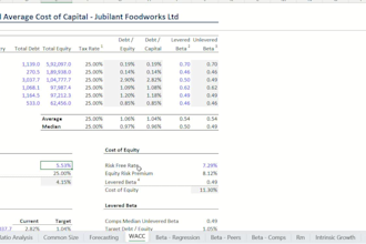 build a financial model or company valuation