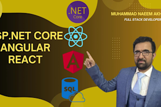 be your angular, react and asp net core full stack developer