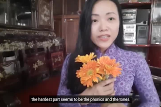 teach you vietnamese via zoom