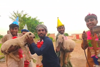 do funny happy birthday video for your family and friends