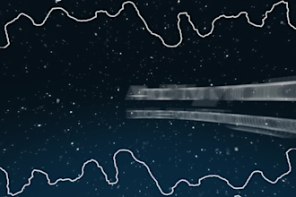 create professional animated lyric music videos for your song