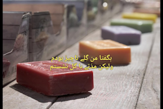 translate from persian to urdu and english and vice  versa