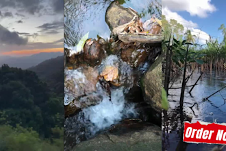 create nature HD high quality copyright free video  for you