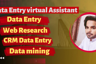 do fastest data entry in 1 day and internet research