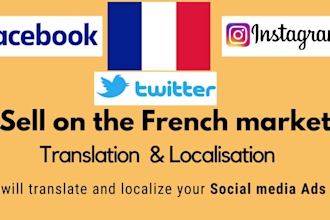 translate your social media ads into standard french