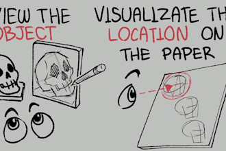 make a custom whiteboard animation explainer doodle video