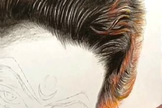 create a realistic pencil portrait for you