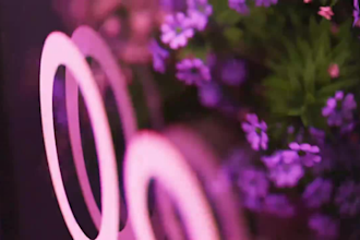 make realistic 3d plant vfx  vfx animation  3d flower animation cgi photography