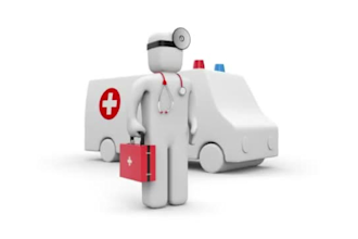 remote consultancy and computer support