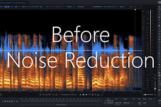 do a noise reduction of your audio file