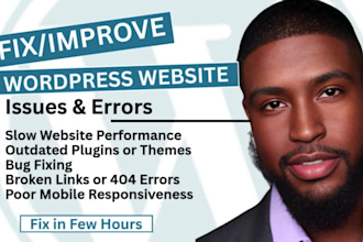 fix wordpress errors, plugin issues, and speed up your site performance