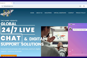 provide human live chat support for business websites