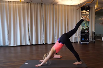 teach yoga classes for flexibility and healthy joints