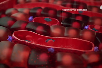 do 3d medical animation moa stem cell liver therapy biotech explainer video