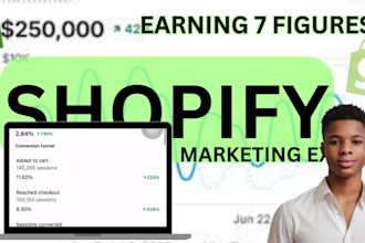 do shopify store marketing and grow traffic and sales with expert promotion