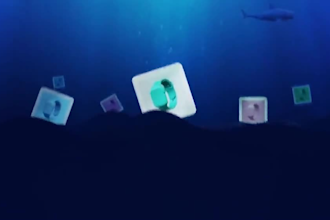 create app promo video website explainer 2d explainer video software explainer